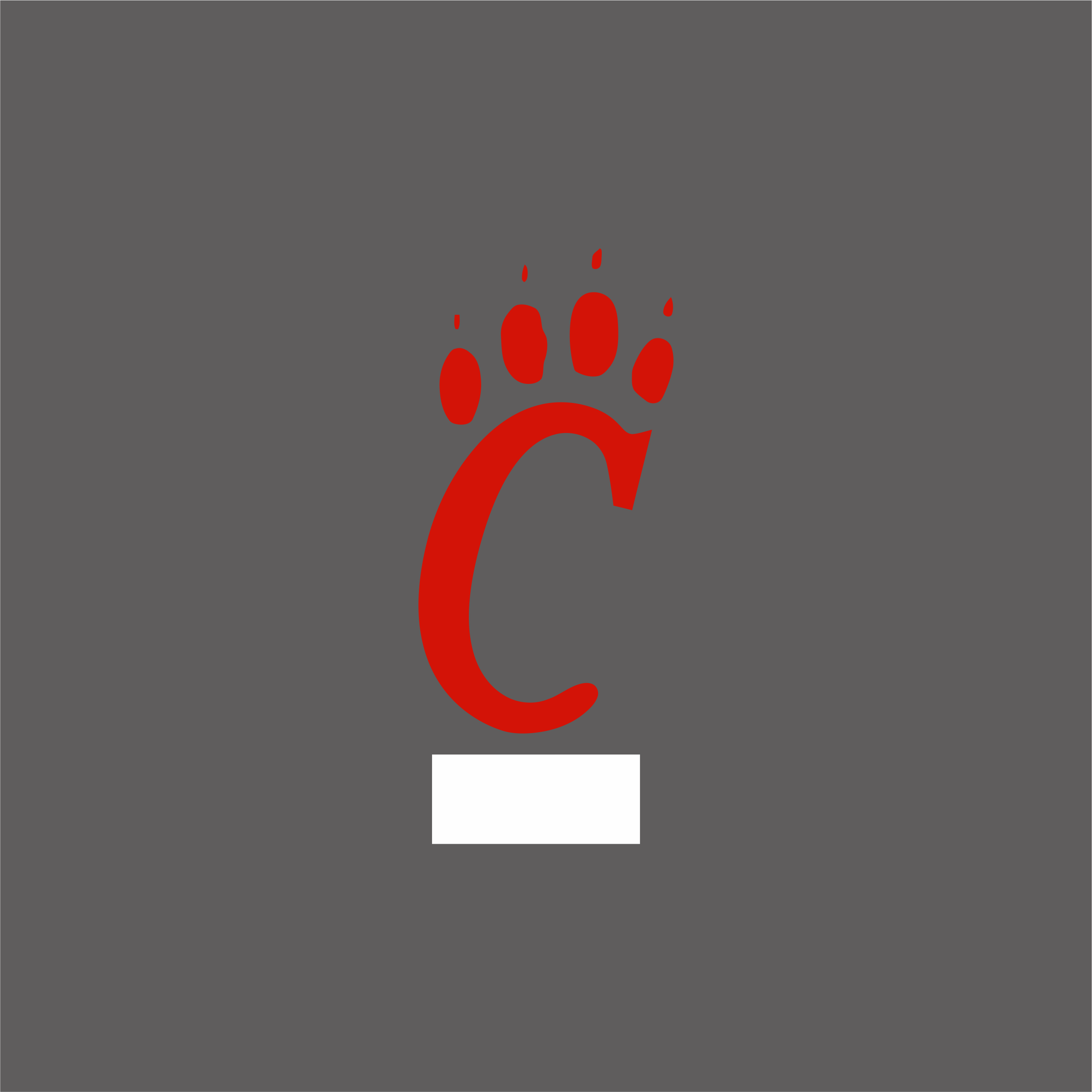 Cincinnati Bearcats 1990-2005 Primary Logo v2 iron on transfers for T-shirts